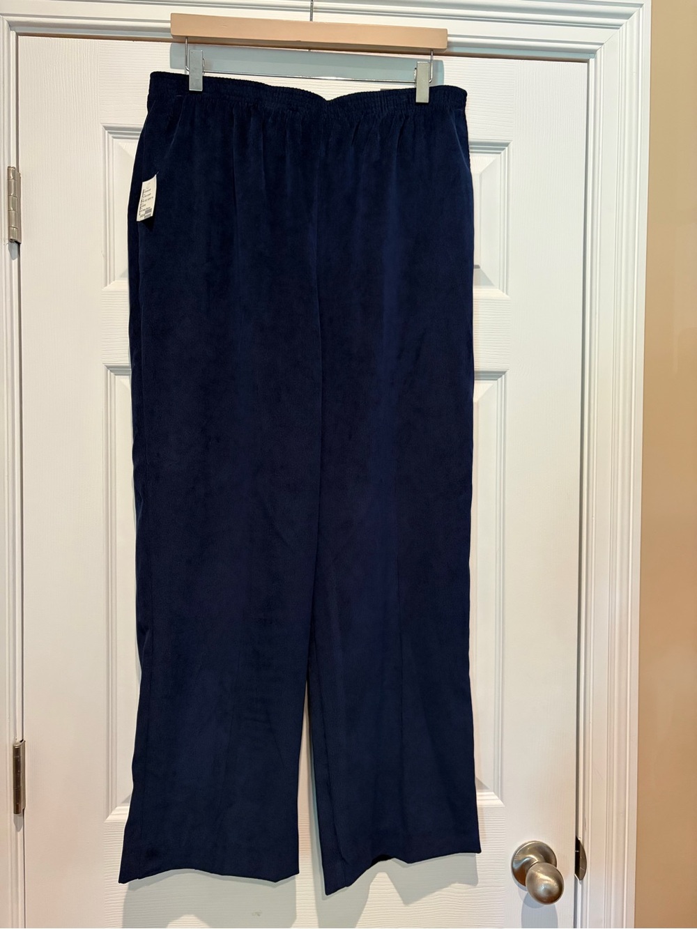 Alfred Dunner Navy Corduroy Pull-On Pants
